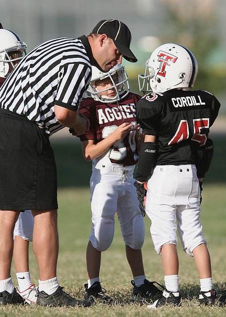 迈凯伦与多 迈凯伦与多